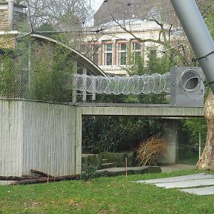 Gorilla exhibit viewing area and tunnel for Hamlyn's monkeys, seen from the other side of the exhibit, 2024-02-17