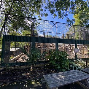 Yellow-breasted capuchin enclosure