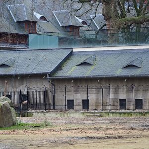 Pig House, 2024-02-17