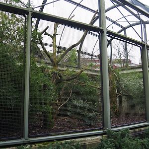 Hyacinth macaw aviary, 2024-02-17