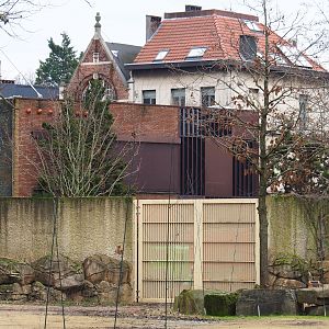 Gate into giraffe and warthog exhibits and buffalo and bird house for the savanna aviary, 2024-02-17