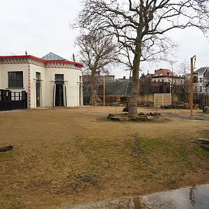 Giraffe and Warthog paddock, 2024-02-17