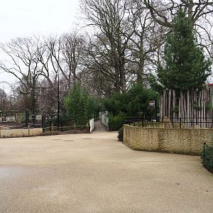 Viewing areas for Giraffe and warthog and Asian elephant paddocks, 2024-02-17