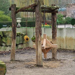 Feeding or enrichment stand for Grant's zebras and Southern white rhinos, 2024-02-17