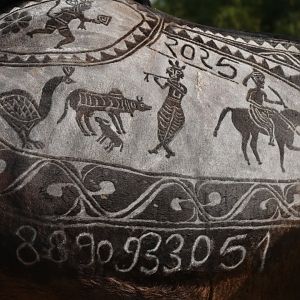 Bikaner Camel Festival