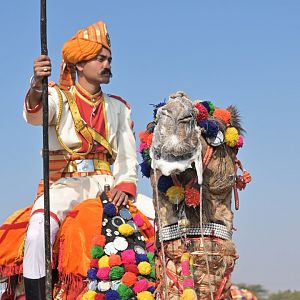 Bikaner Camel Festival