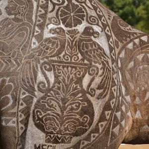 Bikaner Camel Festival