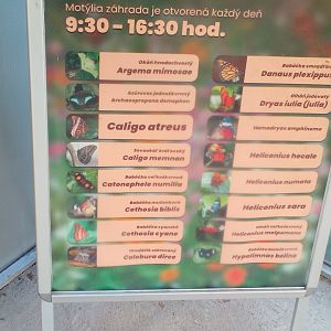 List of butterflies-9/2025