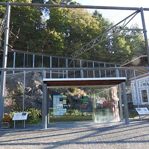 Waldrappvoliere Waidhofen an der Thaya