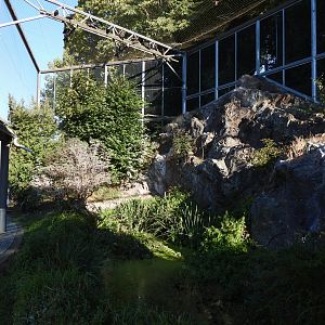 Waldrappvoliere Waidhofen an der Thaya