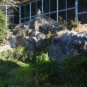 Waldrappvoliere Waidhofen an der Thaya