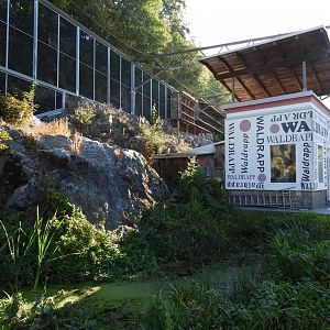 Waldrappvoliere Waidhofen an der Thaya