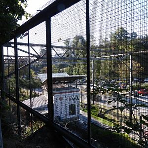 Waldrappvoliere Waidhofen an der Thaya