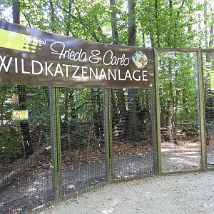 Wildcat exhibit at the national park house Thayatal