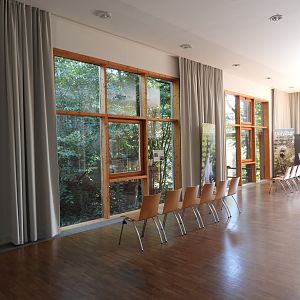 Wildcat exhibit at the national park house Thayatal - indoor visitor area