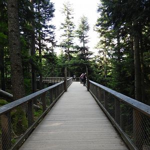 Gigantic wolf exhibit at the national park Sumava, visitor center Srni