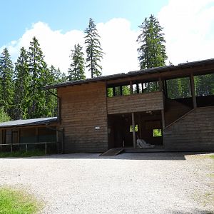Lynx exhibit, visitor area - National park Sumava, visitor center Kvilda