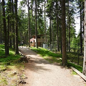 Red deer visitor area - National park Sumava, visitor center Kvilda