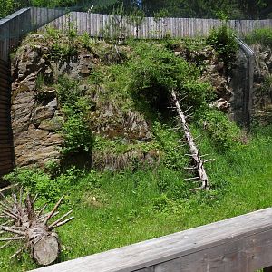 Barn owl walkthrough - Owl aviary at Borova Lada, nationalpark Sumava