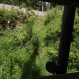 Long eared owl exhibit-  Owl aviary at Borova Lada, nationalpark Sumava