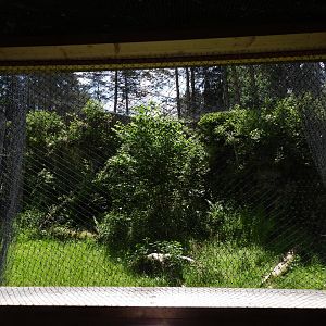 Ural owl exhibit - Owl aviary at Borova Lada, nationalpark Sumava