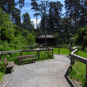 Main walkthrough for Tawny owl - Owl aviary at Borova Lada, nationalpark Sumava