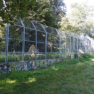 Lynx exhibit - Naturpark Geras