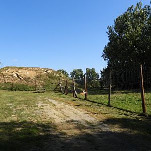 Alpine ibex exhibit - Naturpark Geras