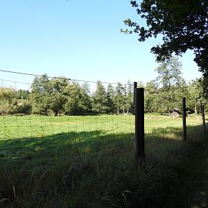 Red deer exhibit - Naturpark Geras