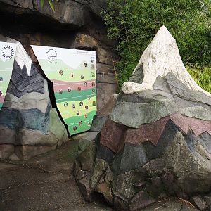 Altitudinal zonation of habitats in the Himalayas educational display, 2024-02-17