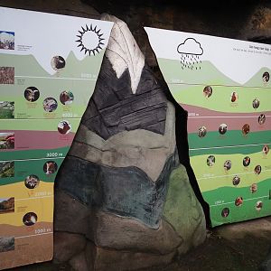 Altitudinal zonation of habitats in the Himalayas educational display, 2024-02-17