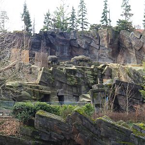 Tajik markhor exhibit, 2024-02-17