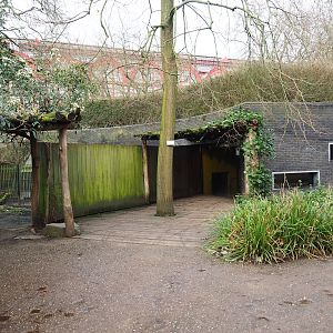 Malayan tapir house and viewing areas, 2024-02-17