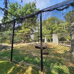 Henson Robinson Zoo - Wolverine enclosure