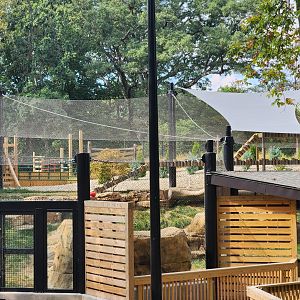 Scovill Zoo - Cougar exhibit