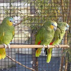 Polly, Arleigh and Mary, 23rd September 2025