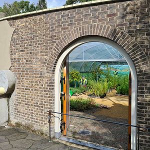 Himalayan tree nursery