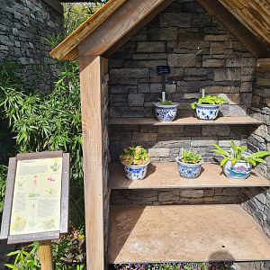 Himalaya - Plant cabinet