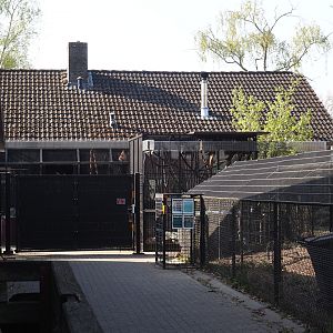 Veterinary and off-show animal housing area, 2025-04-12