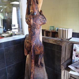 Fossa wooden statue, 2025-04-12