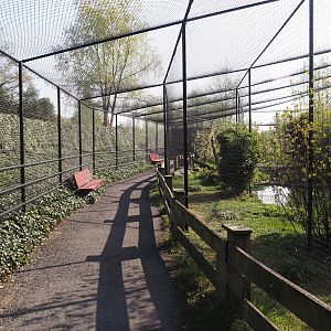 Wetland aviary - Netted off viewing area, 2025-04-12
