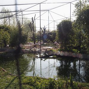 Wetland aviary, 2025-04-12