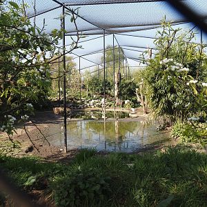 Wetland aviary, 2025-04-12