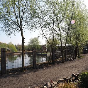 Walkway between Capybara, Giant anteater, Darwin's rhea, waterfowl and turtle exhibit and Bush dog exhibit, 2025-04-12