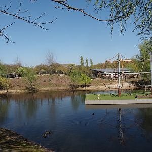 Lake in Capybara, Giant anteater, Darwin's rhea, waterfowl and turtle exhibit, 2025-04-12