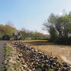 Domestic Bactrian camel paddock, 2025-04-12