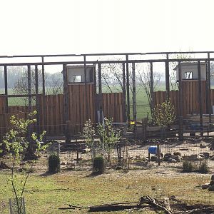 Part of the Capybara, Giant anteater and Darwin's rhea exhibit, White-lipped peccary exhibit and Scavenger aviary under construction, 2025-04-12
