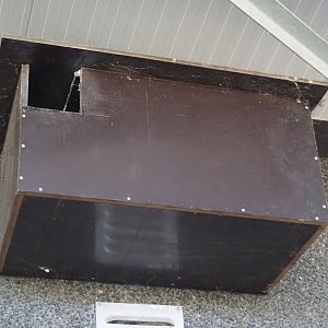 Barn owl nesting box, 2025-04-12