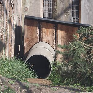 Kea nesting box, 2025-04-12