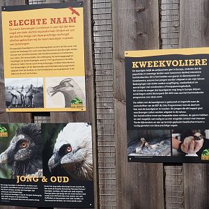 Bearded vulture signage, 2025-04-12